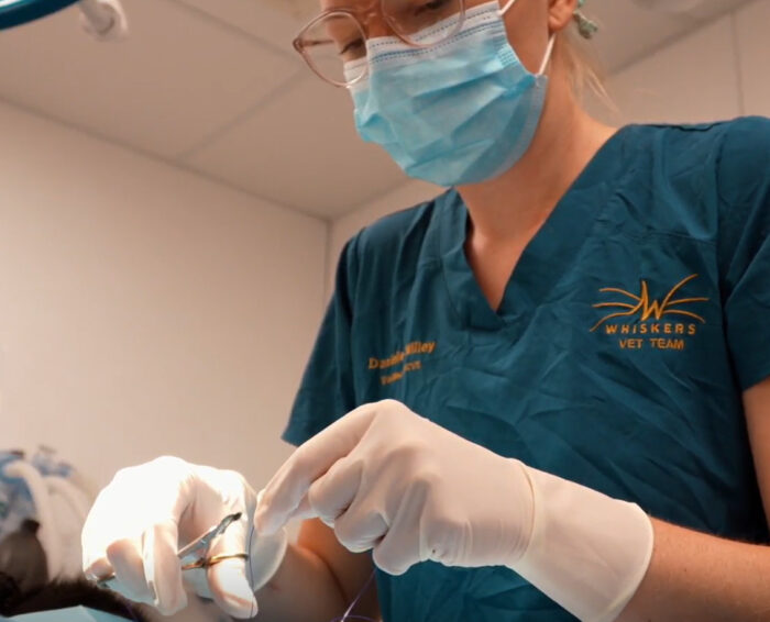 surgical