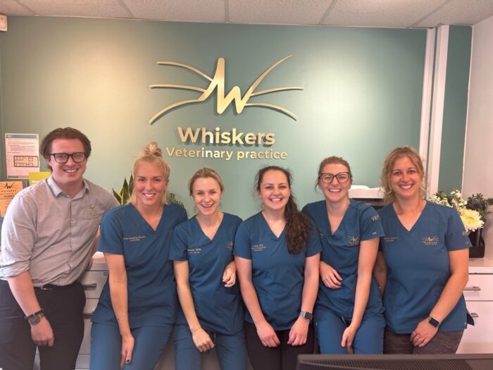 Welcoming Julia to the Whiskers Vets Family!